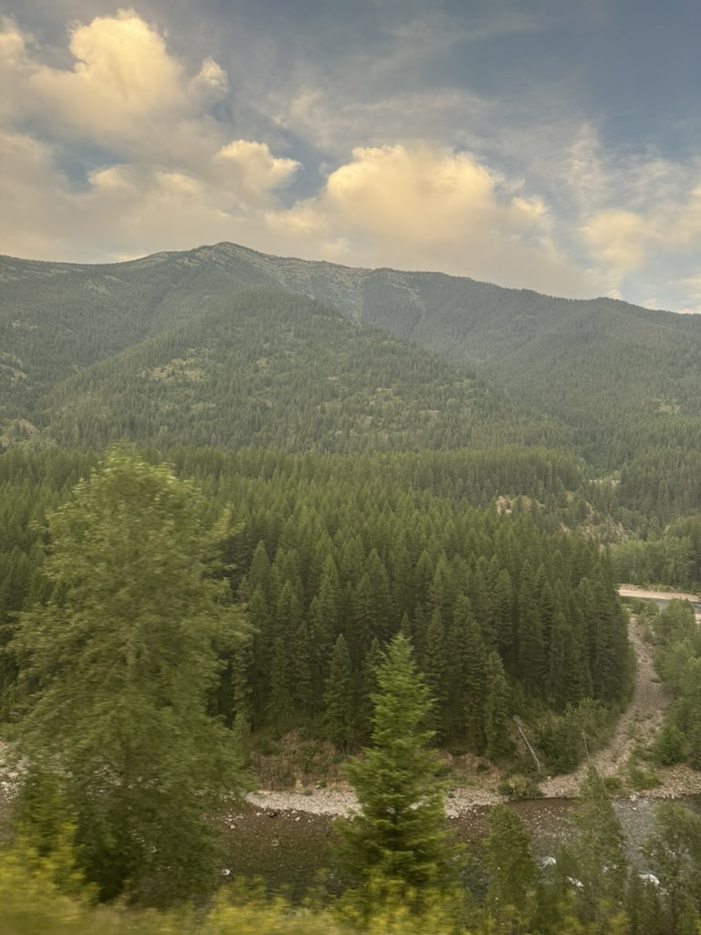 Montana mountains and forests from the Empire Builder train