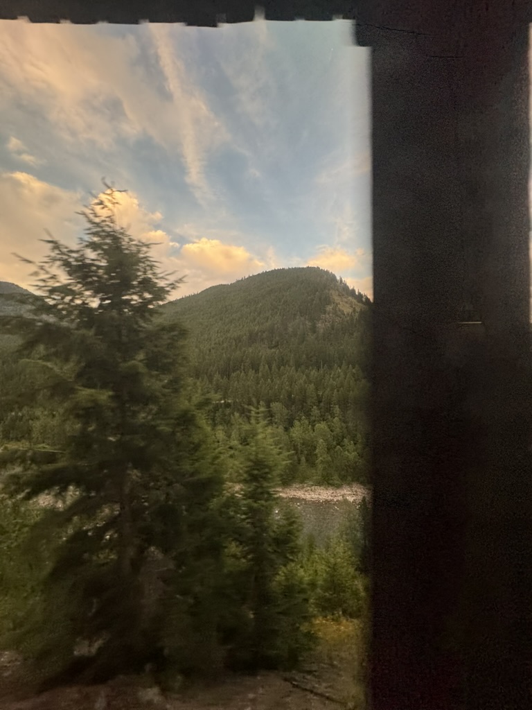 Mountain forests passing the train window on the transcontinental journey to New Orleans