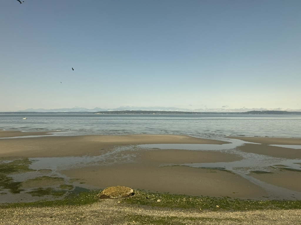 Beach and shoreline near the Puget Sound