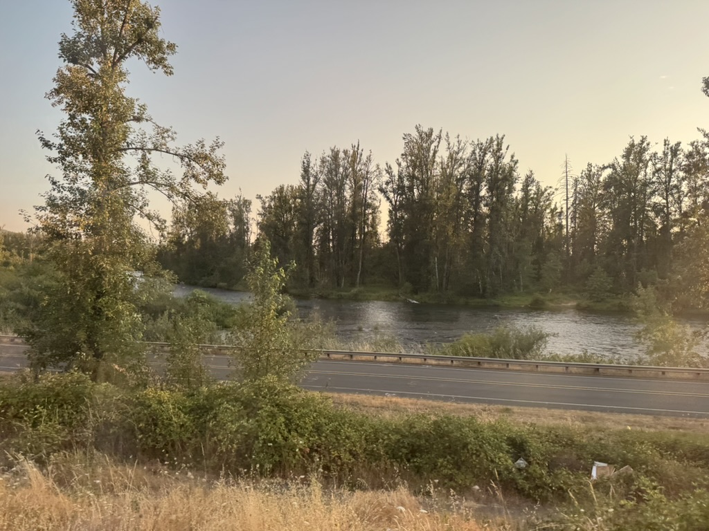Oregon river and trees at dusk from the Coast Starlight