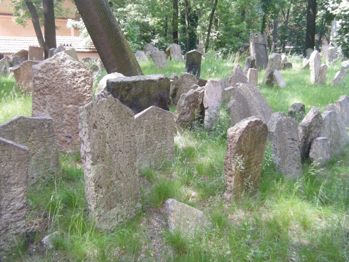 Wide view of the Old Jewish Cemetery with rows of tilted gravestones under trees