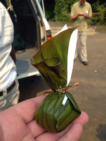 Hand holding a small package of food wrapped in a banana leaf and tied with a stem