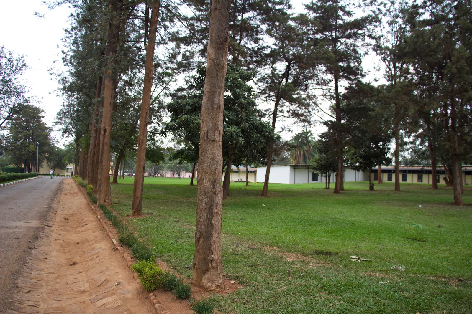 Tree-lined pathway and buildings on the ETO school campus