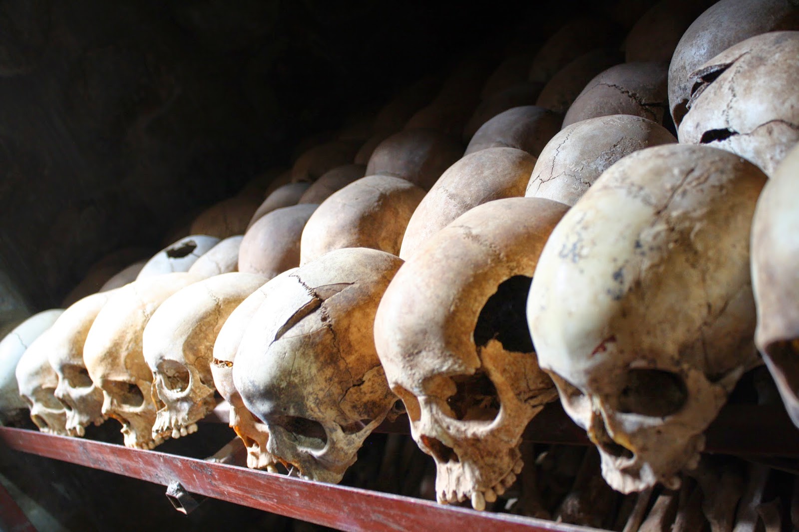 Rows of skulls arranged on metal shelves in the mass grave beneath Nyamata Church, many showing visible fractures and damage