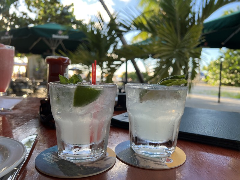 Two cocktails with lime and mint on a bar table framed by palm trees