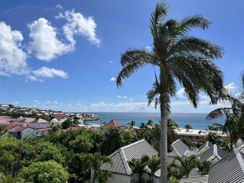 Daytime view of resort rooftops, a palm tree, and the ocean under a bright sky