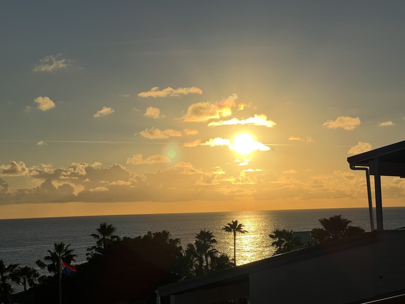 Sunset over the ocean with palm tree silhouettes