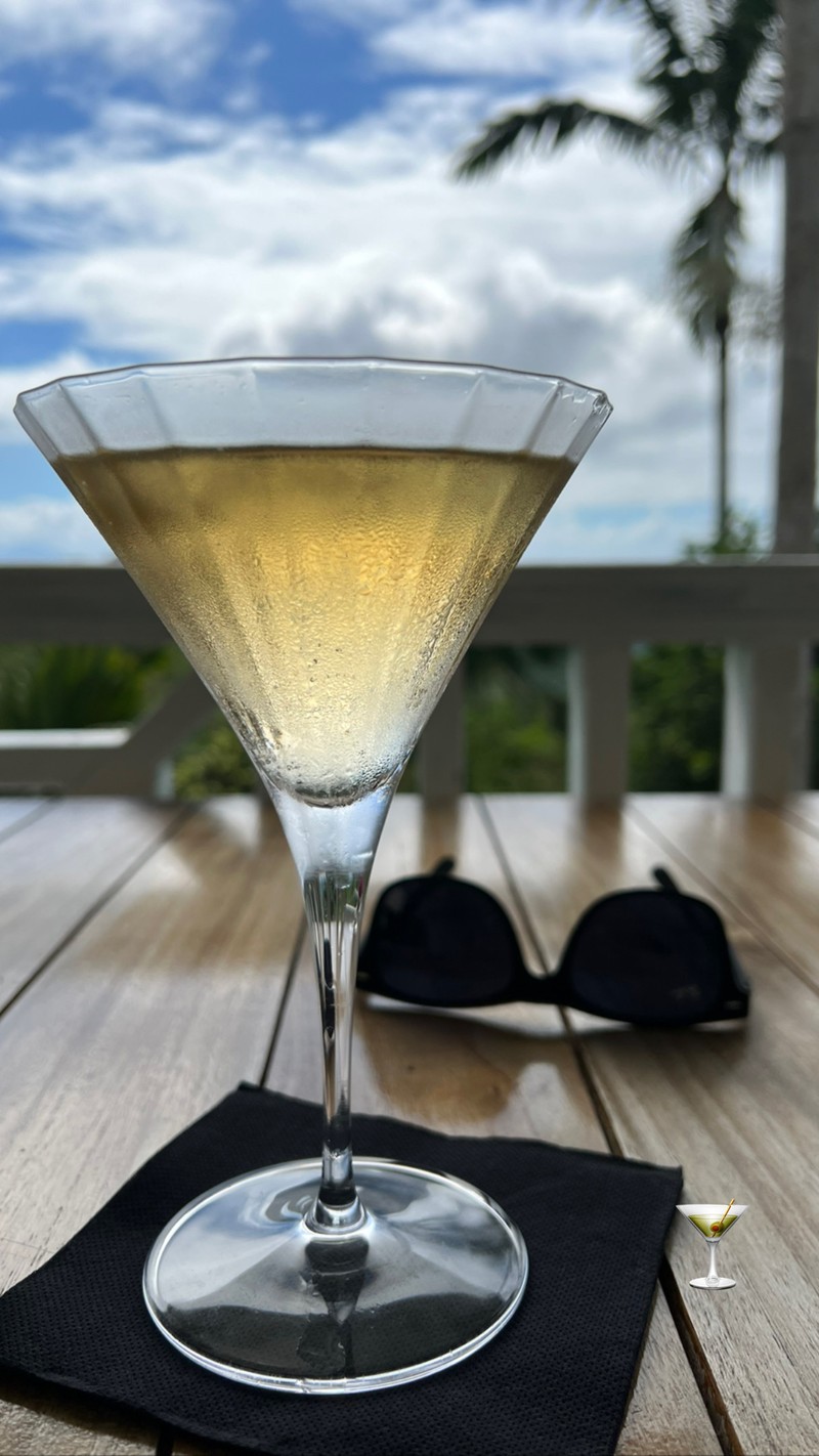 Martini glass on a wooden table with sunglasses, palm trees and blue sky behind