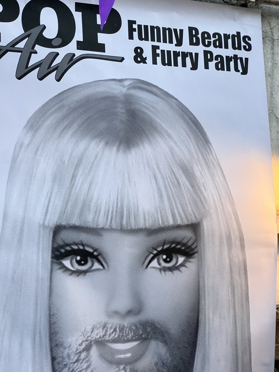 Funny Beards and Furry Party flyer
