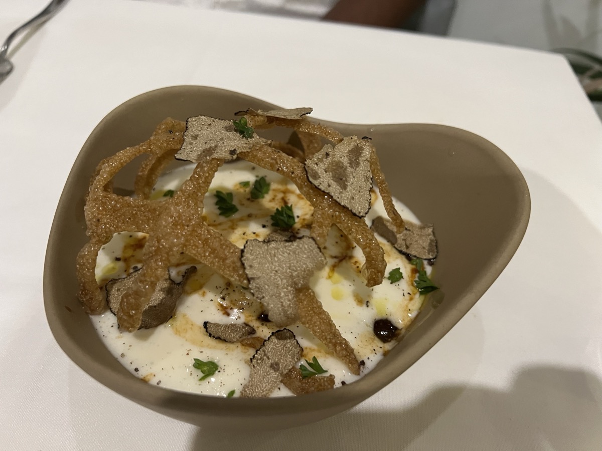 Elegant truffle dish with shaved truffle, cream sauce, and herbs