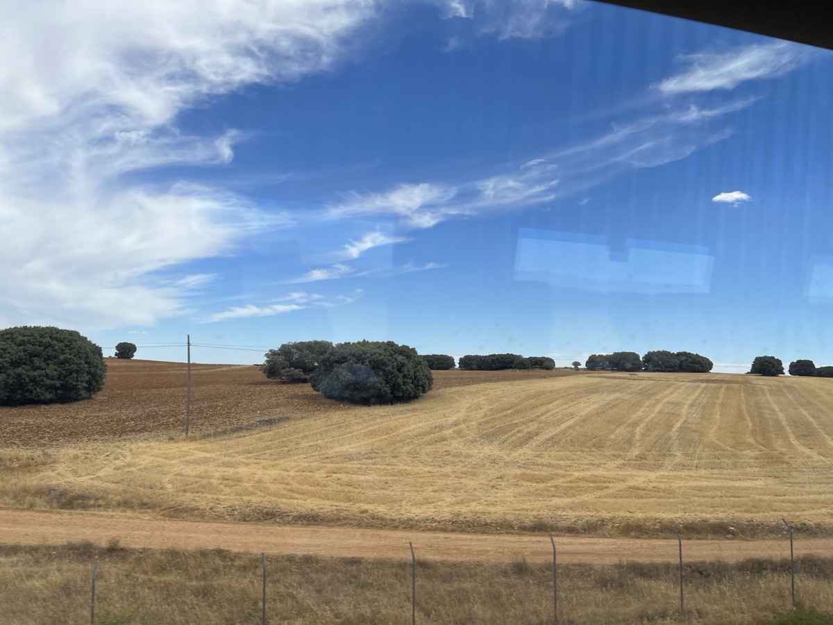 Spanish olive groves and golden fields from the AVE train window